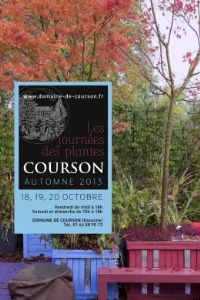 Les journées des plantes de Courson. Du 18 au 20 octobre 2013 à Courson-Monteloup. Essonne. 